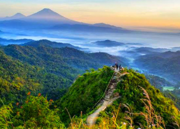Sajikan Spot Pegunungan Terbaik, Simak Segudang Daya Tarik Wisata Terbaru 2024 Puncak Widosari Cek Infonya