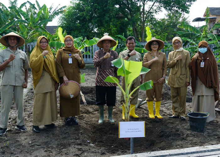 Pemkot Yogyakarta Targetkan Kebun Plasma Nutfah Pisang Jadi Agro Edu Wisata  