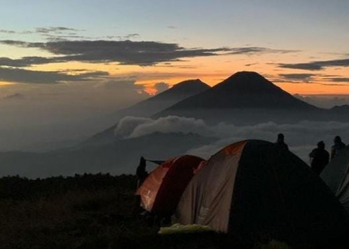 Gunung Sindoro Pendakian Terfavorit? Wisata Terbaru 2024 Hits dan Populer, Pemandangannya Eksotis Cek Disini!