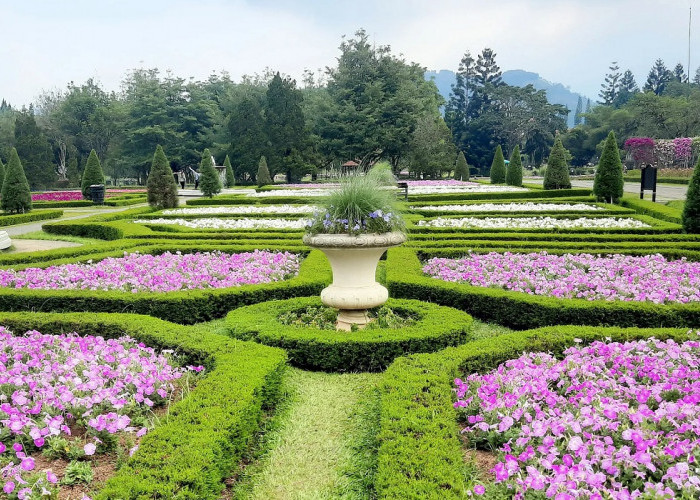 Nuansa Teduh dan Asri, Inilah 5 Pilihan Wisata Seru dan Hits Cipanas untuk Liburan Keluarga Akhir Pekan