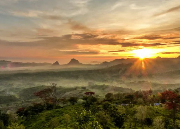 7 Wisata Hits di Bojonegoro Bisa Jadi List Liburan Akhir Tahun Mengesankan, Simak Disini