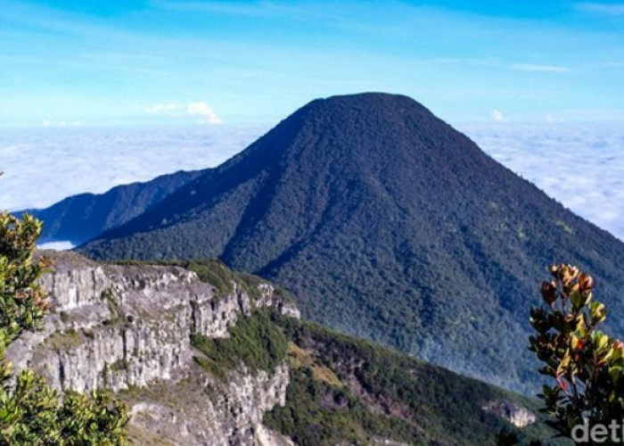 Menaklukkan Puncak Gede Mendaki Cagar Biosfer Dunia bagi Pemula dan Profesional