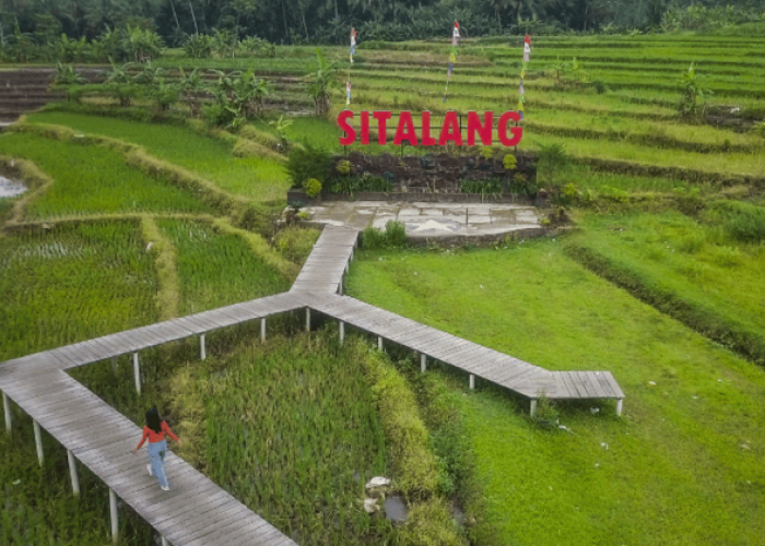 Menguak Pesona Agrowisata Destinasi Favorit Wisata Edukasi dan Alam di Salatiga