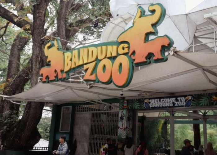 Konflik Bandung Zoo Memanas, Geopix Ingatkan Negara Jangan Korbankan Satwa