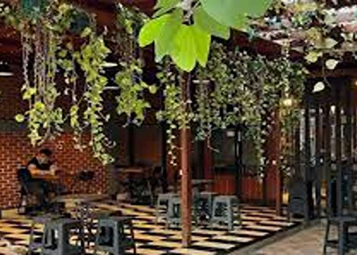 Terkini Paling Hits! Deretan Cafe Viral Palu 2025, Tempat Nongkrong Paling Update Anak Muda