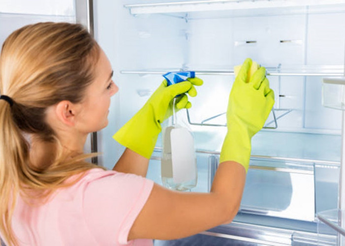 Agar Bebas Bau dan Bakteri, Berikut Cara Efektif Membersihkan Merek Kulkas Terbaik 