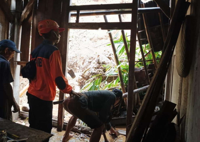 Dipicu Hujan Deras, Tebing Longsor Timpa Rumah Lansia di Paguyangan