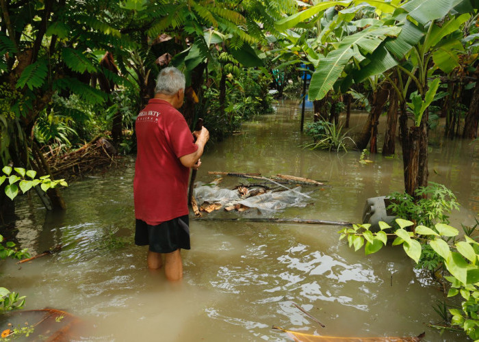 Banjir Rendam Sanden Bantul, Warga Dievakuasi Saat Cuaca Ekstrem