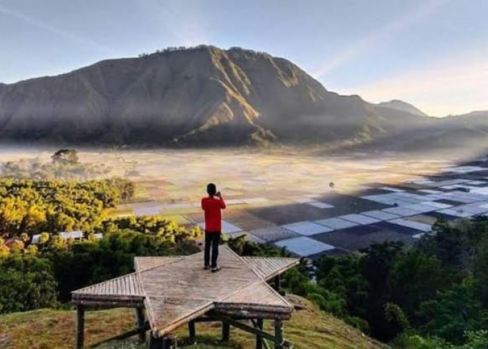 Bukit Selong, Pesona Alam Memukau Wisata Terbaru 2024, Hidden Gem Pulau Lombok