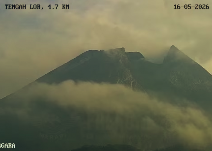  Merapi Erupsi Efusif, BPPTKG Catat 3 Awan Panas Guguran Sepekan