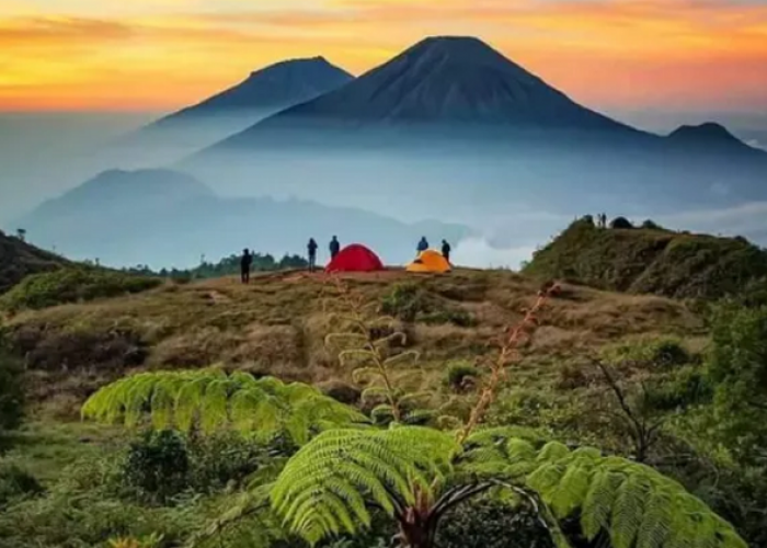 Pesona Gunung Prau Wonosobo, Surga Para Pendaki Pemula dengan Panorama Golden Sunrise