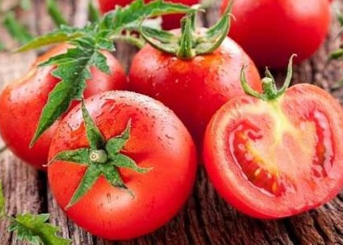 Ini Dia 6 Manfaat Tomat Bagi Kesehatan Tubuh, Apa saja?