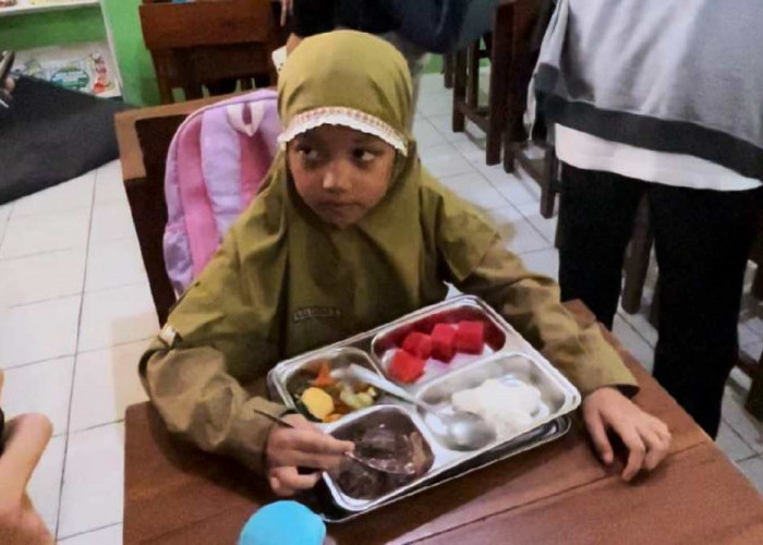 Uji Coba Mulai Dilaksanakan, Ini Penampakan Menu Makan Bergizi Gratis Siswa di Sleman