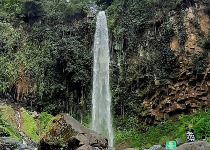 Daftar Destinasi Populer di Lereng Gunung Lawu untuk Liburan Seru dan Berkesan