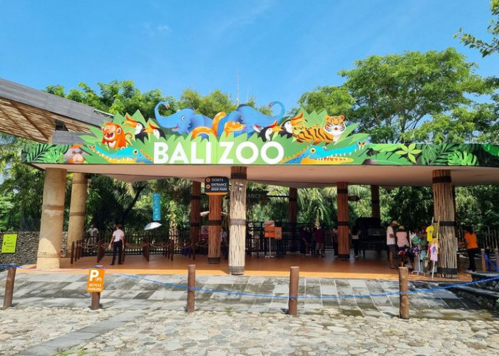 Ini Dia Bali Zoo, Wisata Terbaru 2024 Rekomendasi Tepat Libur Lebaran Bersama Keluarga