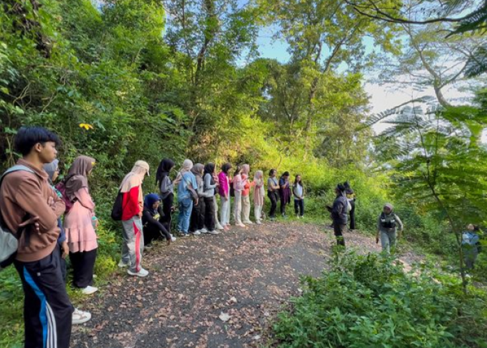 Wisata Wonogiri Terbaru, Yuk Eksplorasi Seru Gunung Gandul untuk Pendaki Pemula