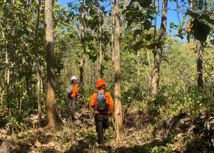 Kabar Duka, Mbah Kasemo Ditemukan Setelah 7 Hari Hilang di Hutan Selorejo Gunungkidul