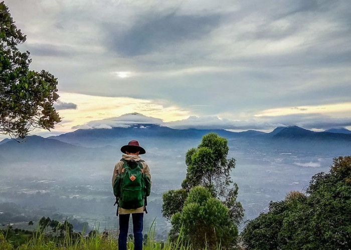 Kamu Pendaki Pemula? Simak Wisata Terbaru 2024 Gunung Putri Cocok untuk Treking dan Rekreasi