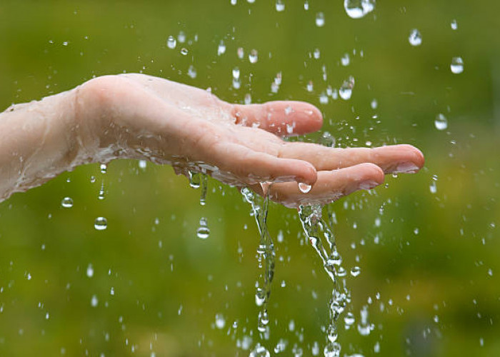Menakjubkan! 10 Manfaat Luar Biasa Air Hujan untuk Kesehatan Anda, Yuk Simak!