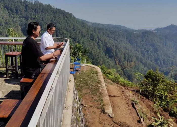 Tempat Nongkrong Estetik di Hutan Pinus Desa Tombo Paling Wajib Dikunjungi di Batang