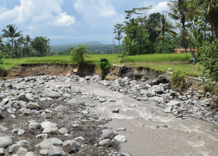 DAS Cihaur Mengkhawatirkan, Erosi Sungai Ancam Lahan Pertanian