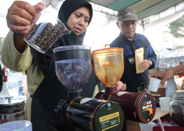 Festival Kopi Kulon Progo 2025 Suguhkan Ribuan Cup Kopi Gratis, Angkat Potensi Kopi Menoreh
