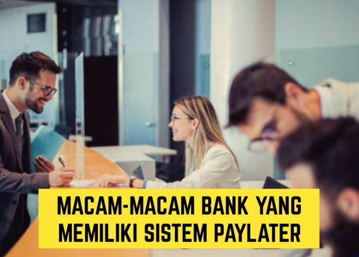 Apa Saja Bank yang Memiliki Sistem Paylater dengan Tenor Panjang? Simak Daftarnya Disini