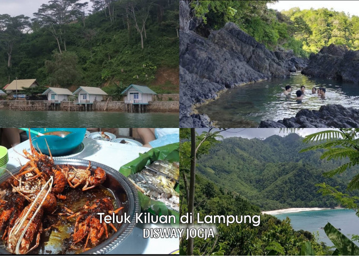 Surga Tersembunyi di Lampung, Libur Lebaran ke Wisata Terbaru 2024 Teluk Kiluan yang Mempesona