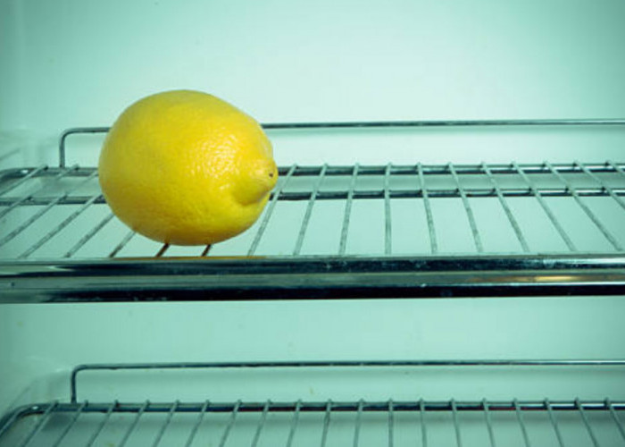 Awet Segar Berbulan-Bulan, 4 Tips Jitu Menyimpan Lemon Dalam Merek Kulkas Terbaik