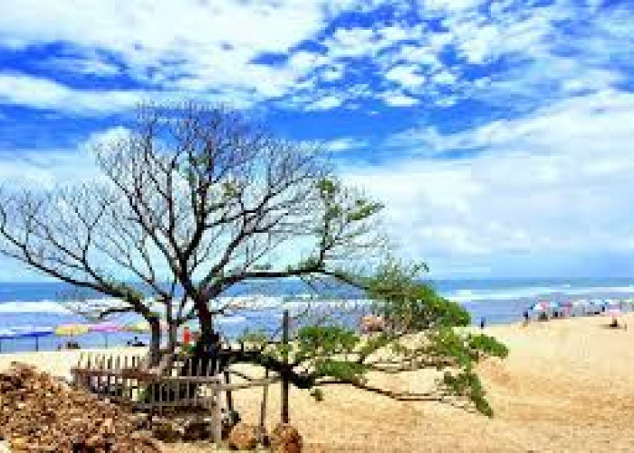 Menikmati Pesona Pantai Pok Tunggal Wisata Awal Tahun Gunungkidul, Dari Berkemah Sampai Air Tawar Tersembunyi