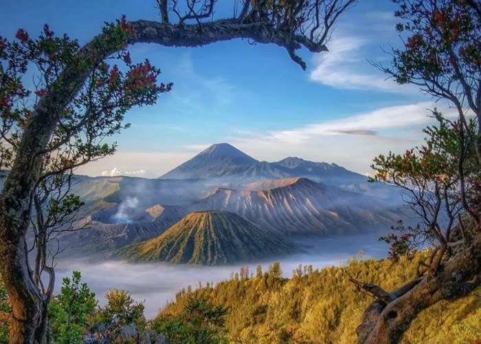 Deretan Wisata Gunung Terpopuler di Indonesia dengan Pemandangan Super Indah, Simak Lengkapnya Disini