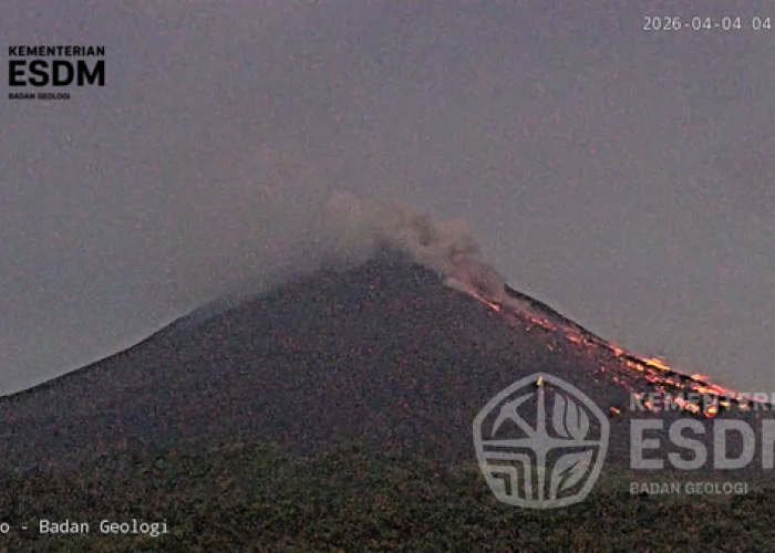  Merapi Siaga Level III, BPPTKG Catat 2 Awan Panas Guguran Sabtu Dini Hari