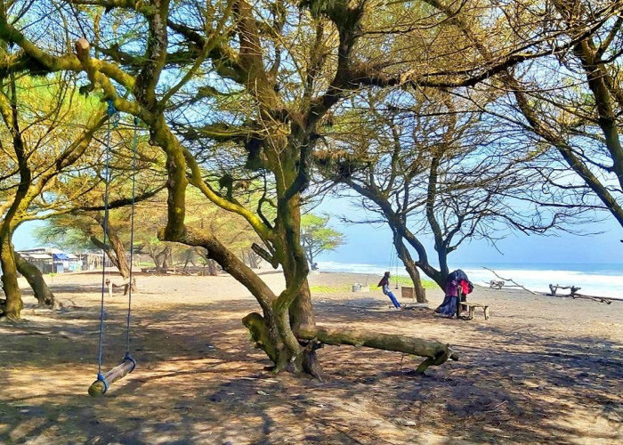 Wisata Pantai Mlarangan Asri: Hidden Gem dengan Aktivitas Menarik di Kulon Progo, Cek Disini