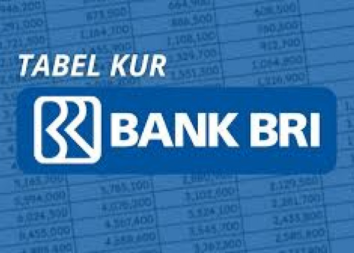 Simak Daftar Jenis Pinjaman Bank BRI 2025, Untuk Memenuhi Segala Kebutuhan Anda