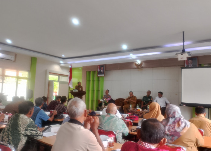 Konsumsi Beras Bantul Terus Turun, Umbi-umbian Mulai Menggeser Nasi