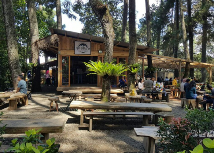 Wajah Baru Armor Kopi sebagai Tempat Healing dan Penghilang Penat