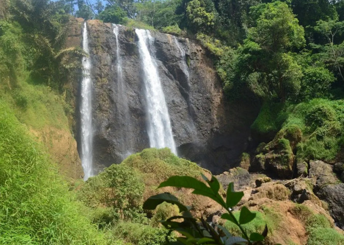 6 Rekomendasi Objek Wisata Menarik di Kendal, Opsi Liburan Keluarga Paling Ekonomis dan Berkesan