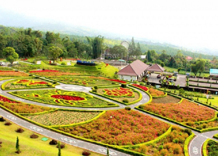 Surganya Fotografer, Wisata Terbaru 2024 The Blooms Garden Bali Menyajikan Spot Cantik Setiap Sudutnya