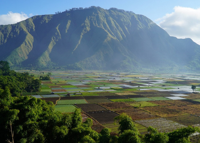 Wisata Pusuk Sembalun Lombok: Aktivitas Seru, Tiket Masuk, Jam Buka dan Lokasi Lengkap, Cek Disini