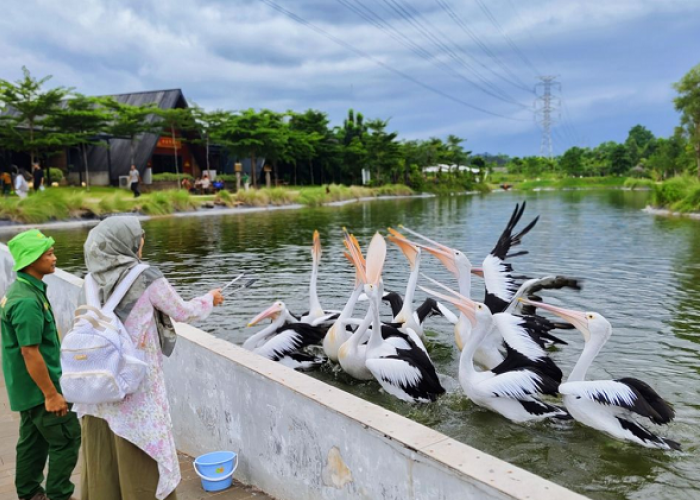 Menjelajahi Wisata Alam Edukasi dan Promo Spesial Aviary Park Indonesia 2026