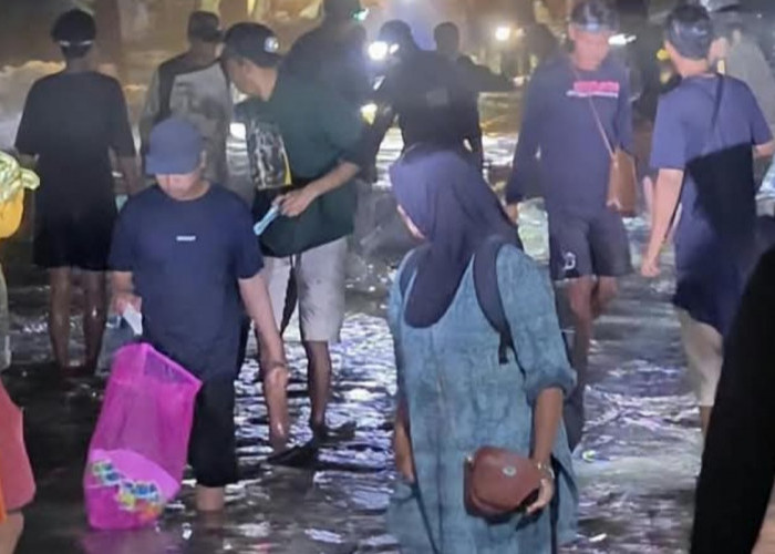 Geger Pantai Wediombo! Berburu Teri Bermodal Senter, Seorang Warga Bawa Pulang Hingga 4 Kilogram