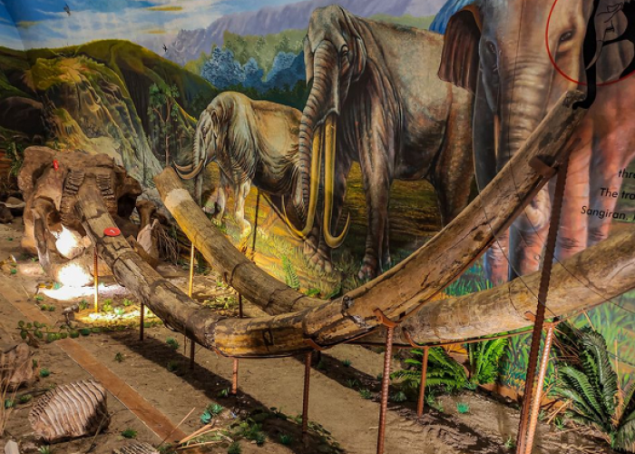 Pesona Tersembunyi Sragen Dari Wisata Purba, Relaksasi Alam dan Kehangatan Budaya