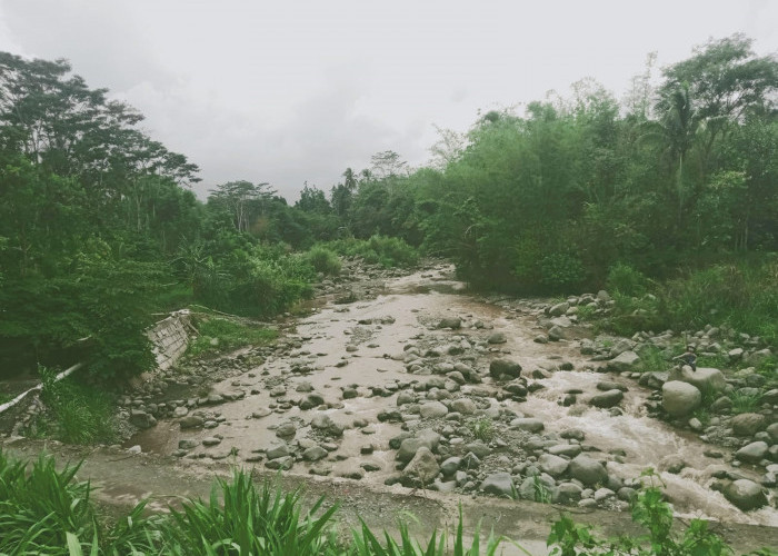 Alur Sungai Keruh di Bumiayu Rusak, Petani Minta Saluran Irigasi Diperbaiki
