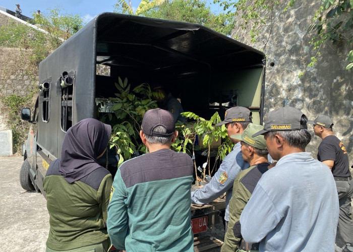 Hijaukan Bantaran Sungai Winongo Dengan Ratusan Pohon Kelengkeng