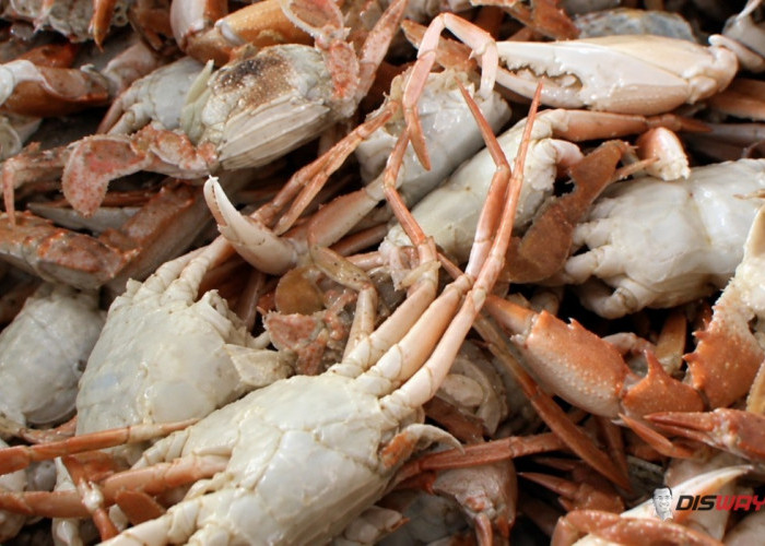 Warung Kepiting Saus Pedas di Sleman Ini Tawarkan Olahan Baby Crab dengan Harga Terjangkau