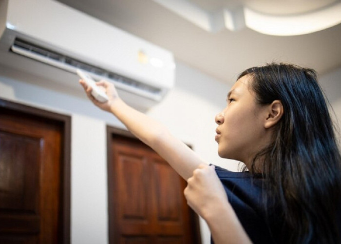Tips Mengatur Suhu Ideal Merek AC Terbaik Untuk Menjaga Kesehatan