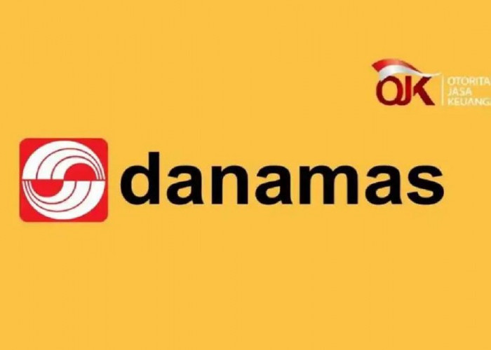 Pinjaman Online Danamas Limit Tinggi 7 Juta, Simak Cara Pengajuannya Lengkap Disini