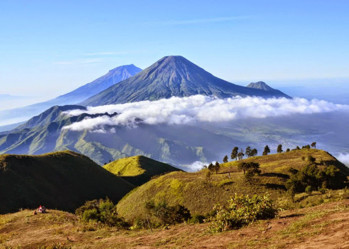 Wisata Dieng Terbaru 2024 Gunung Prau, Tempat Pendakian Paling Populer Jawa Tengah, Cek Tiket dan Jalurnya