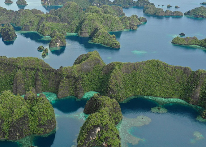 Surga Tersembunyi Indonesia Bagian Timur? Wisata Terbaru 2024 Papua, Wajib Kamu Kunjungi Cek Disini!