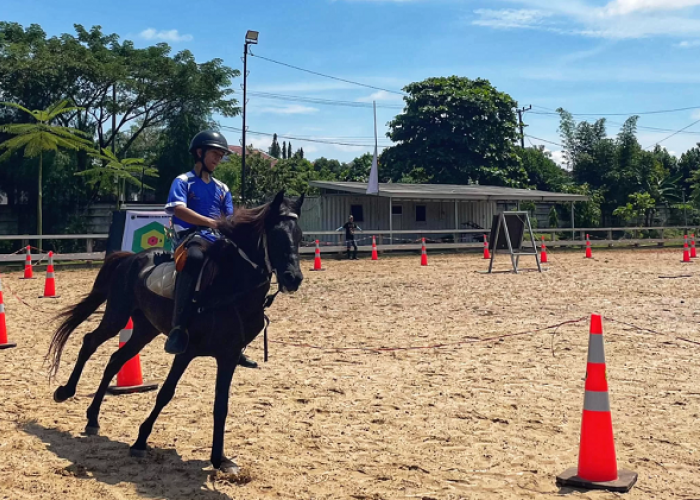 Menemukan Ketenangan di Alam Lewat Wisata Berkuda di Kalimantan Selatan 